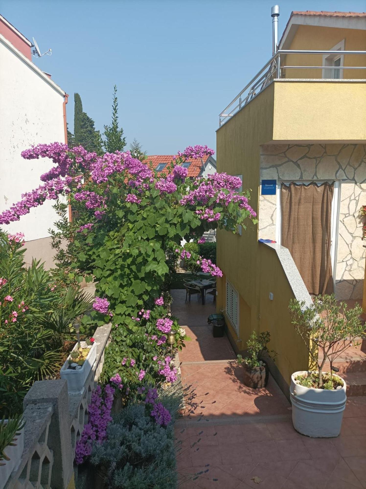 Apartmani Grguric Kornić Exterior foto